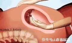 宝宝|生孩子到底有多痛?10张图告诉你:宝宝如何一步步来到这个世界