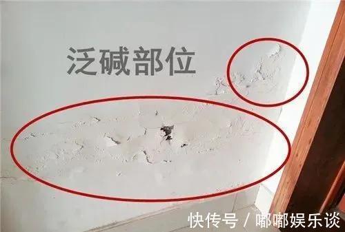 湿气|墙面起碱很正常的事，刷墙的时候工人没给你弄这一步，不用给钱了