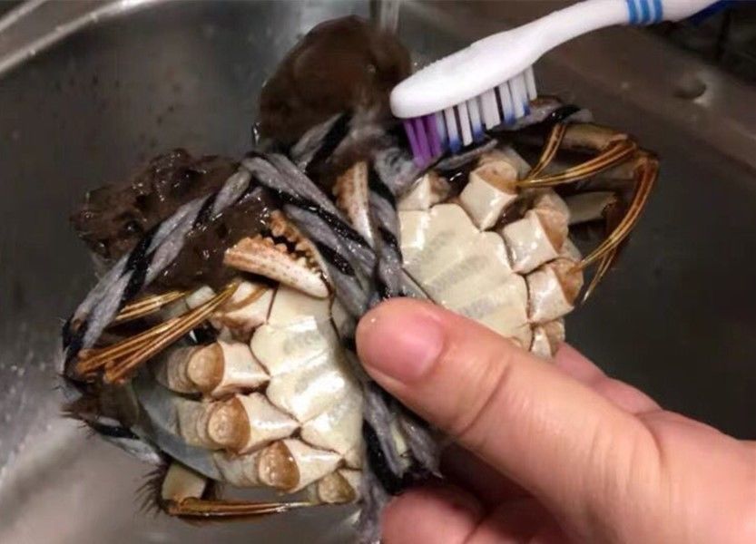 蟹黄|蒸大闸蟹时，直接上锅蒸就废了，多加这1步，蟹肉鲜嫩入味不流黄