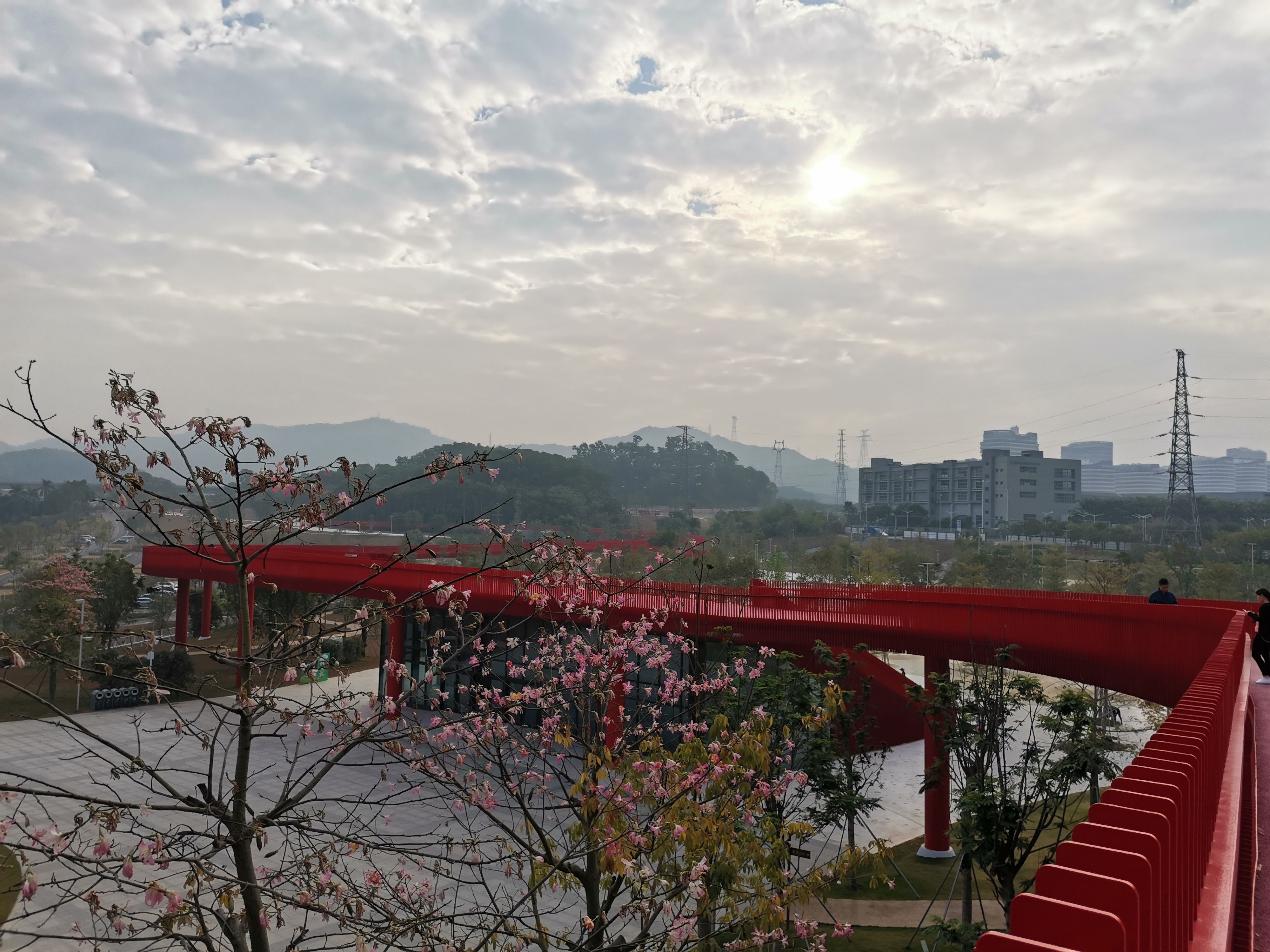 老年|深圳发现1处网红景点，1天接近8万游客打卡，网友：赞不绝口