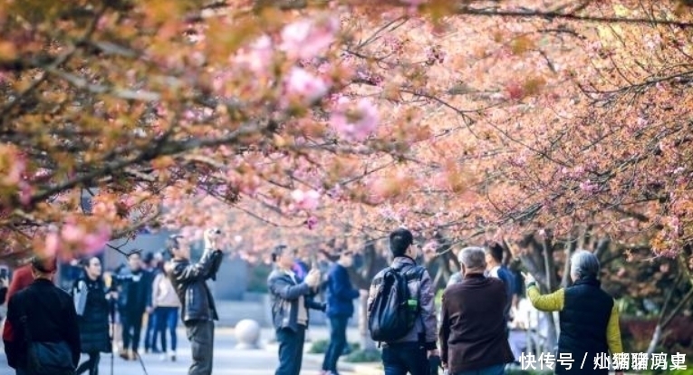 大学|我国最“无私”的大学，考上难度不亚于清华，能考上的都是学神