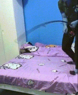 |搞笑GIF:如果再给我一次选择的机会,我绝对不会生这么多