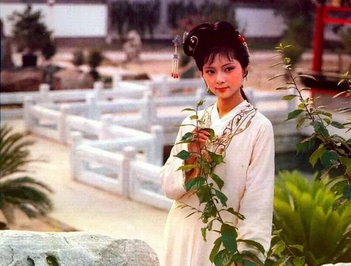 京都竹枝词#《红楼梦》最经典的9首诗词,读懂了才是人生!