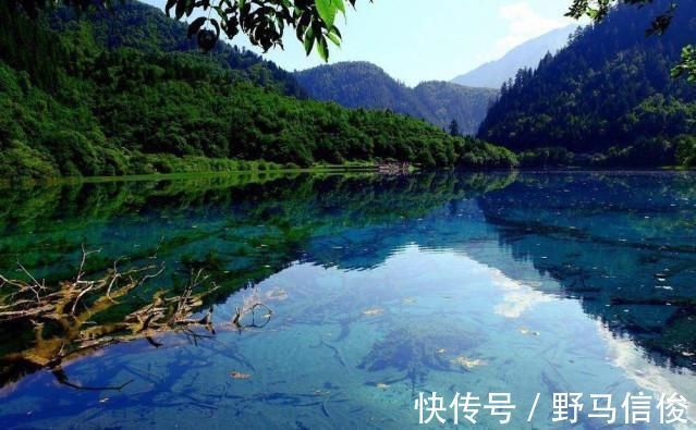 水景|九寨之境美如画,拥有数百河滩的它,是当之无愧的水景之王