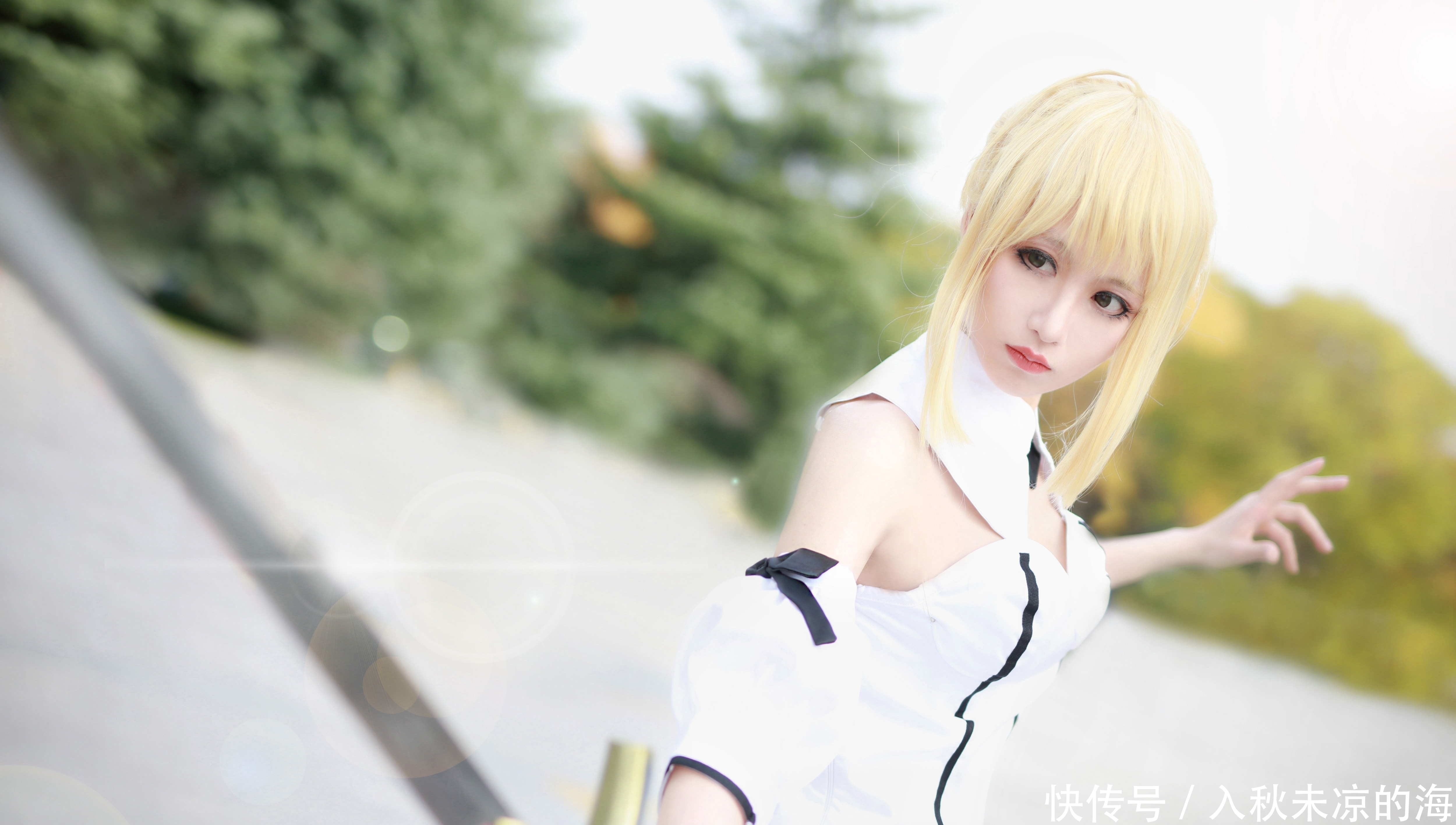 a8341|【cos正片】Saber Lily