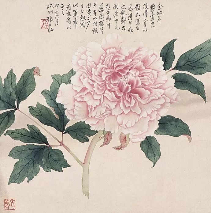 华新罗&张大壮：人淡如菊，以“没骨法”画虾，自创一格