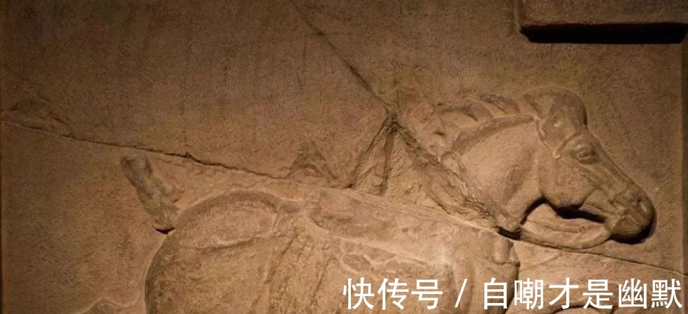 国宝|国宝之殇,吾恸未央!迫藏于美国博物馆的昭陵二骏