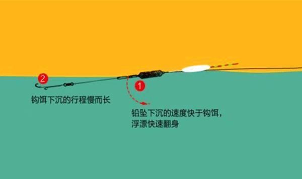 饵料|全飞铅、半飞铅、飞双铅的操作要领,钓鱼不会这几招,可能要吃亏