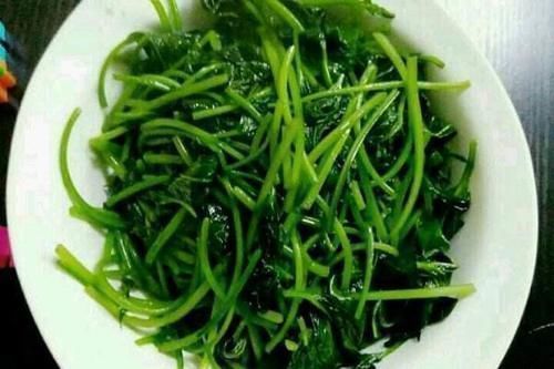 藏在身边的“长寿菜”,每天炒一盘,视力好了,肠道也通畅了