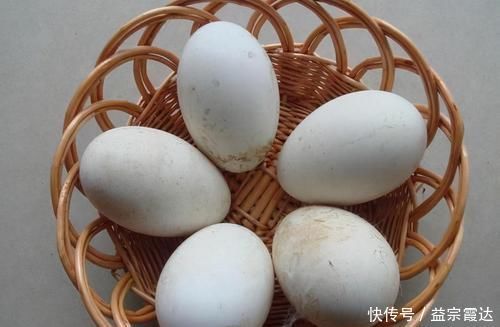 蛋黄|长寿老人最爱吃3种食物，补充营养、改善体质，好吃又健康！