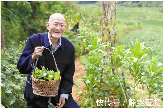 健康|100岁长寿老人的健康秘诀，从不碰一件事，长寿并不难