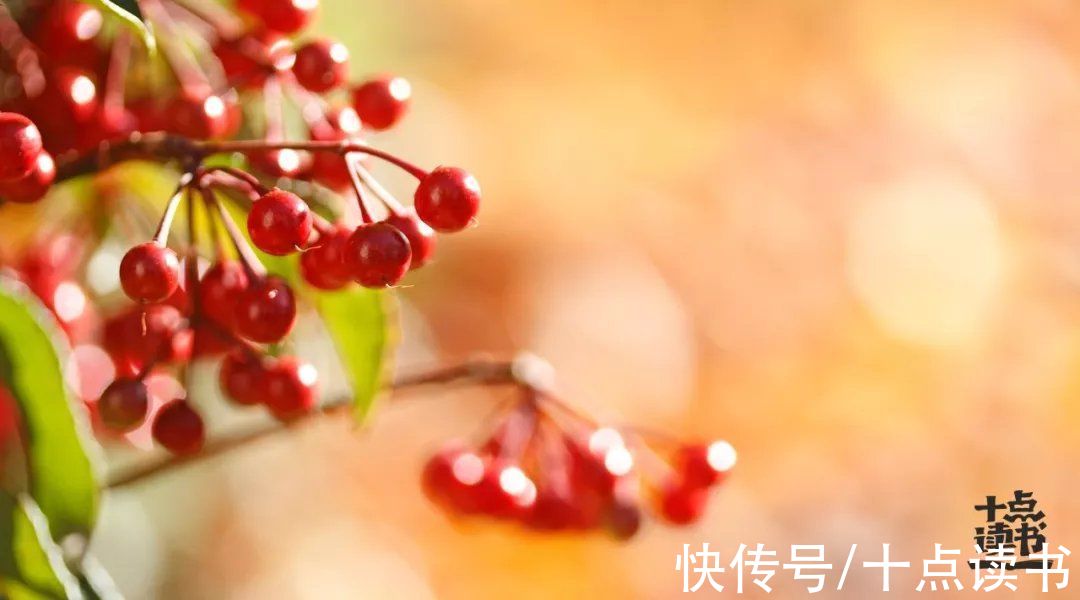 尘埃落定|不想凡事都赢的，是聪明人