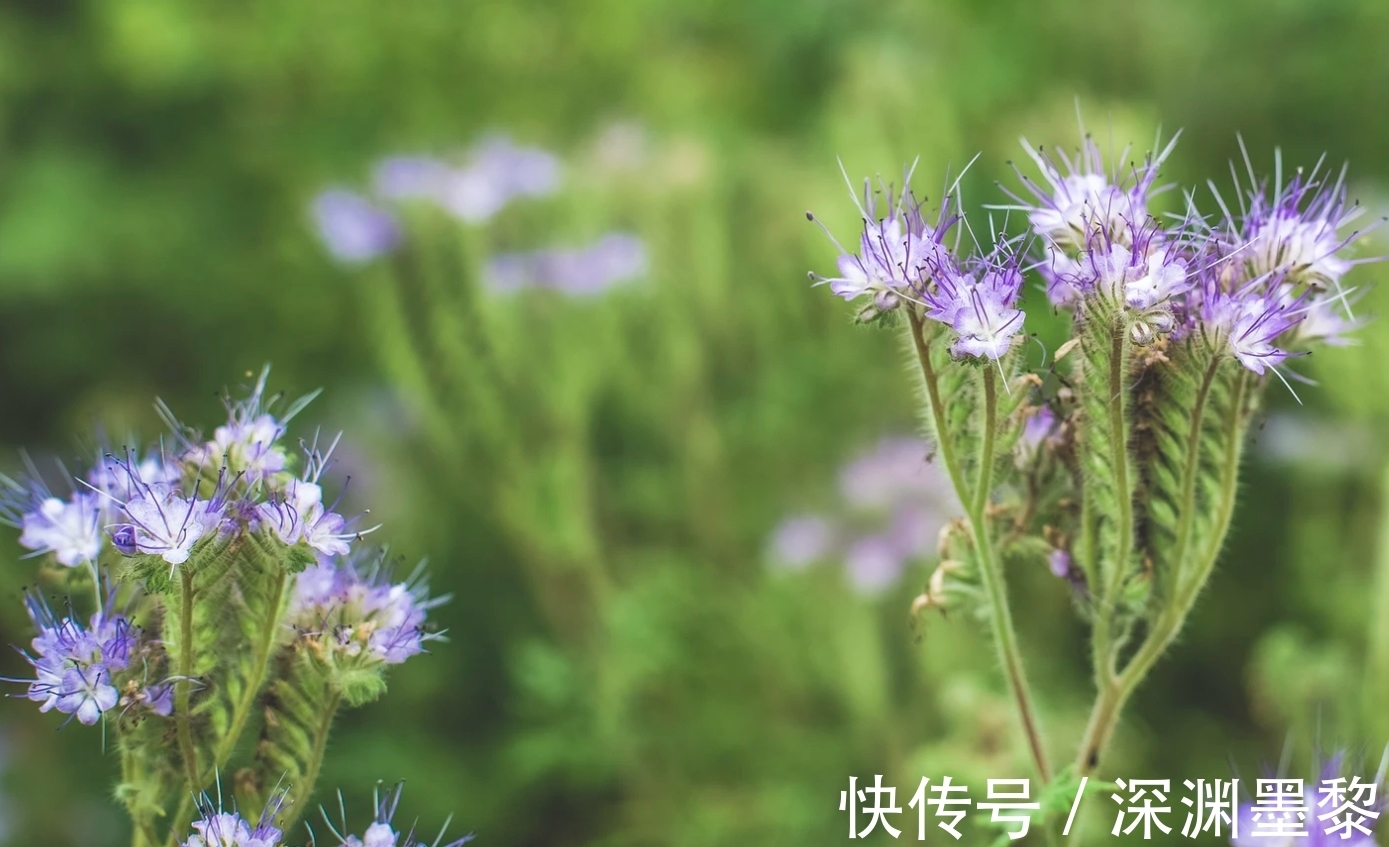 缘分|7月，缘分不够，真情来凑，心花怒放，3星座深情再续，不再分离