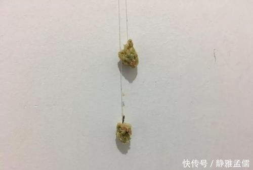 拉饵|钓白条有技巧,并不是使用腥饵那么简单,想钓得好这几点尤为重要