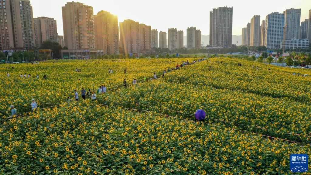 走到户外 乐享假期