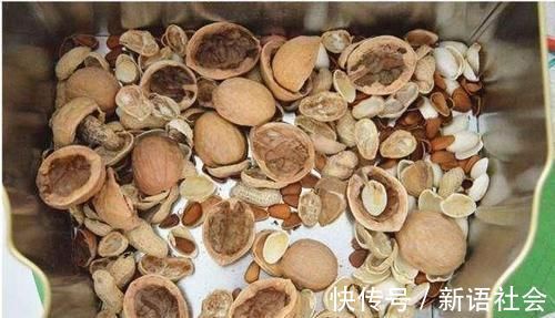 养花总是死？盆底埋点“小东西”，疏松透气不烂根，养啥旺啥