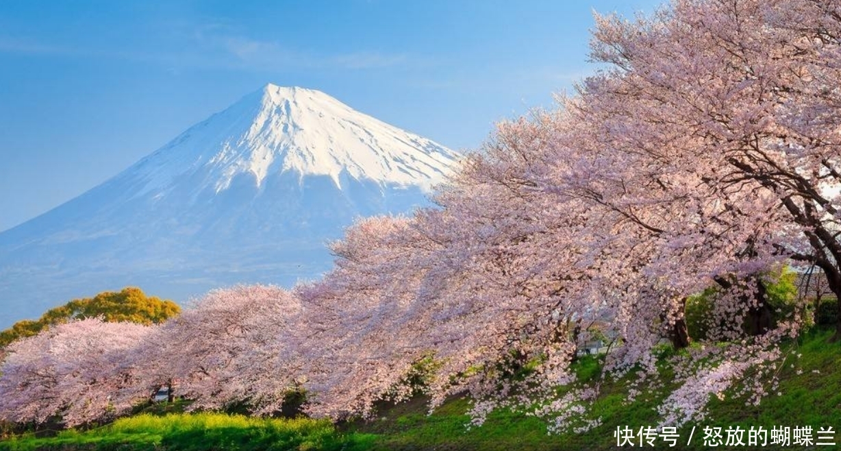 日本富士山是私人的土地, 政府每年都要缴纳大笔租金, 房东是谁?