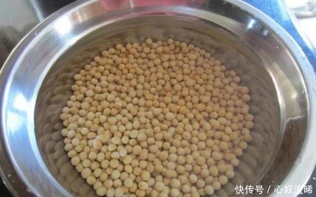 根系|给君子兰“喂点它”,7天猛窜白根,独苗变群兰,花大压弯枝!