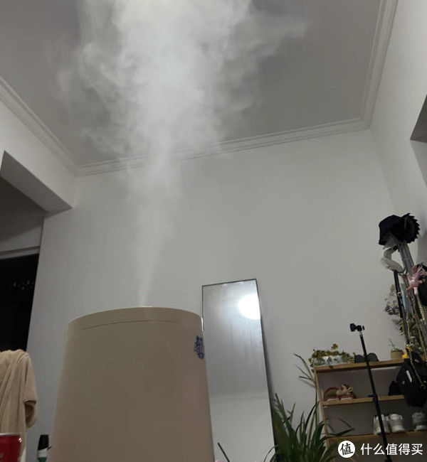 静电|为什么屋子明明是密闭的，家里仍然有很多“毛毛”？该怎么清理？