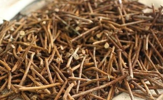 花盆|老婆用装修时剩下的“小东西”,埋在花盆里面,花就没有黄过叶