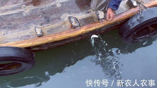 青占鱼|简单粗暴的钓鱼方式，山东一男子玩出了新花样，一秒钟钓一条鱼