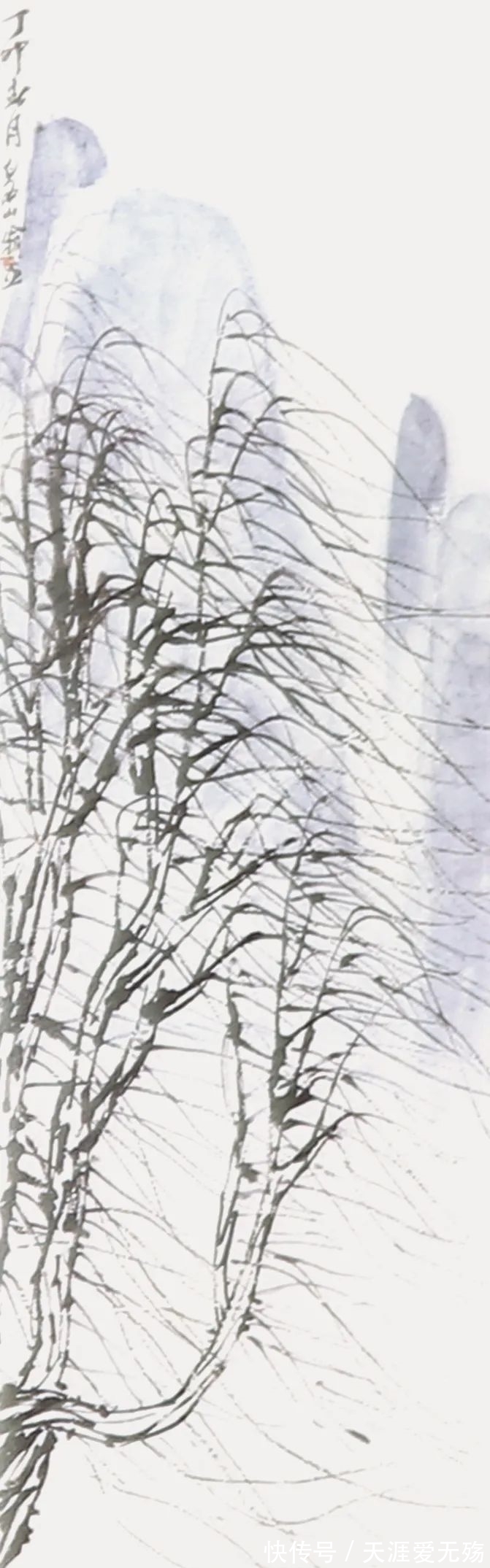 白石老人@欣赏《齐白石画集》,从画中读到满满艺术感