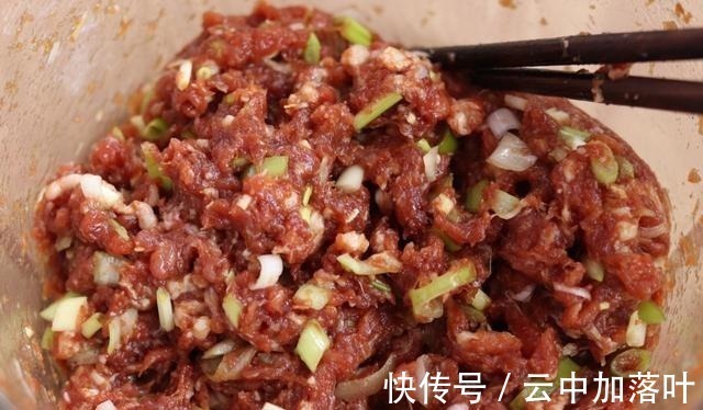 自制千层猪肉饼，好吃不腻，外皮酥脆，馅料鲜香，真解馋！