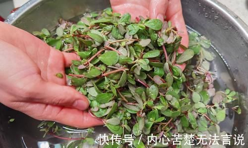 城里人|这菜新鲜的不值钱，晒干变抢手货，30块钱1斤，城里人想吃买不到