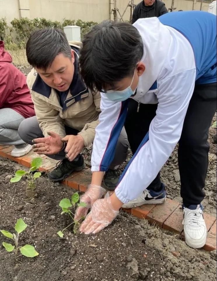 种植园|“教室在窗外”，宝山区顾村中学花式劳动教育让从五谷不分的“00后”，化身校园“园艺工程师”