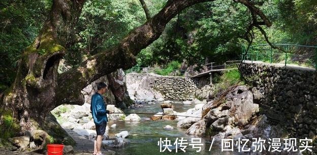 钓鱼|夏季三伏天钓鱼怎么钓钓鱼高手给你支个招,提高中鱼率!