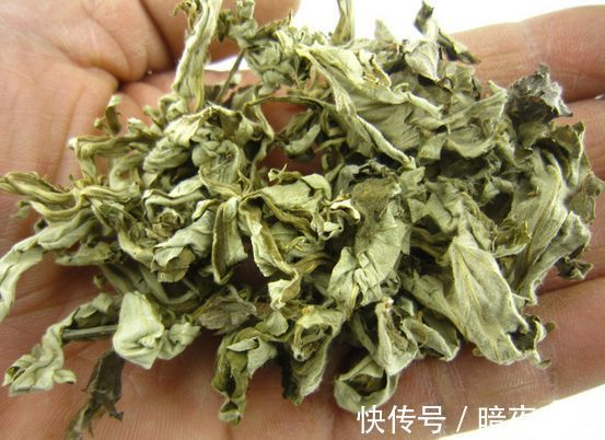 紫菜|子宫肌瘤的“死对头”找到了，女性常吃，活血暖宫，子宫越来越净