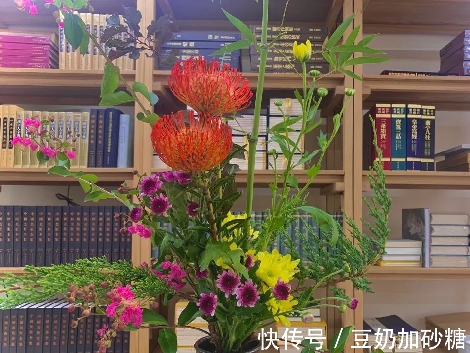 七夕|紫竹院公园科普 - 情绊七夕,爱在紫竹