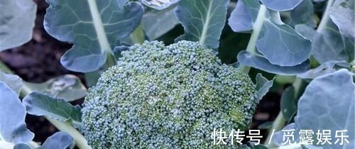 食物|有甲状腺结节,4物快拉入黑名单,常喝天然散结水,结节或消得快