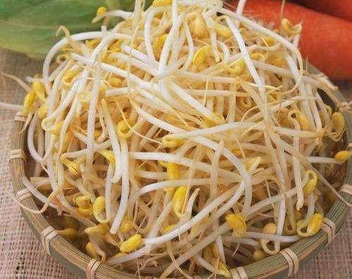 红薯|2类蔬菜发芽后吃,不仅没毒,而且营养价值翻倍