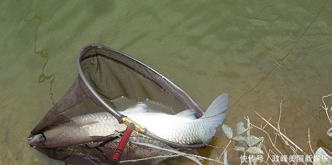 库钓三种抛竿阵型，每一种都有不同的诱聚的效果