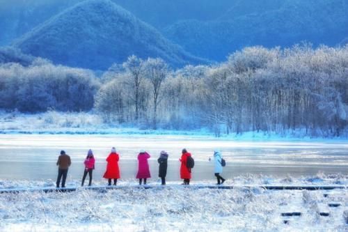 惊艳|惊艳世界，不过是神农架下了场雪……