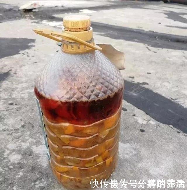 花卉|鱼肠养花,4个方法除臭效果好,花卉长得旺,开花多!