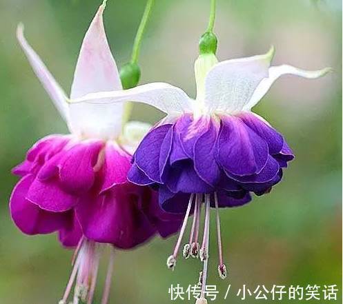 嵌字诗|今天9月9日,如此才华横溢的诗,你见过吗?绝!太绝了!