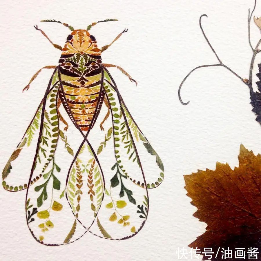 艺术作品&她画画的材料是花瓣,工具是把刀,直接用刀刻出画