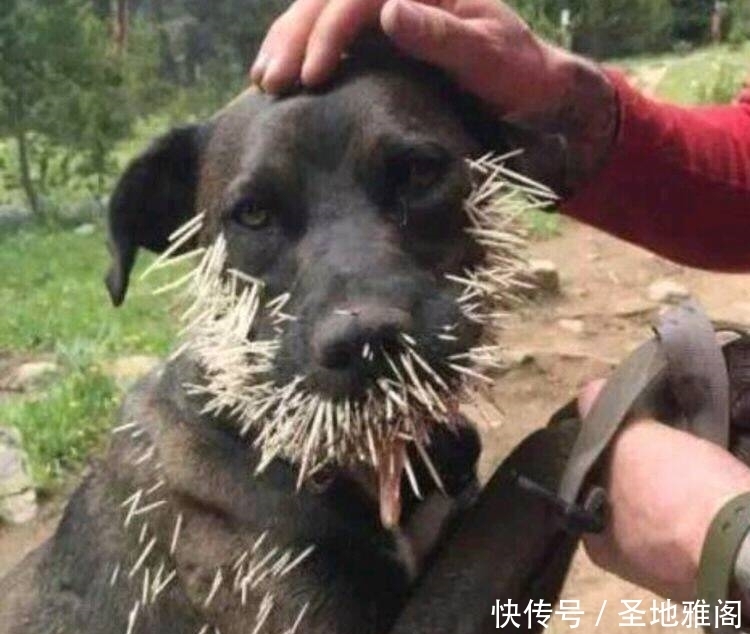 大哥的防晒做就是高啊,看着都凉爽,不过还是祈求老天爷