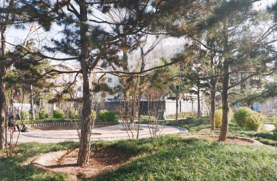 镜头|重拍北京旧日遗存,透过现实的镜头了解逝去的历史——新街口周边