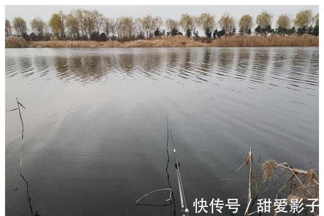 鱼儿|阴天出去垂钓,这几点做好了,渔获想少都难