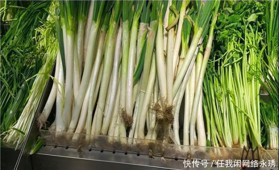 大葱|保存大葱时,放地上就错了,大厨教你一招,保存半年跟新鲜一样