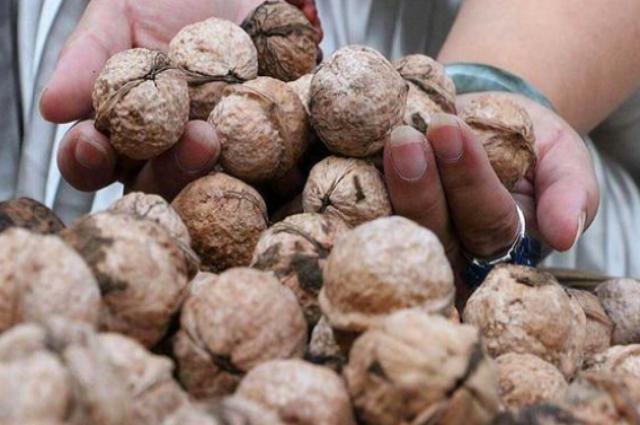 为什么现在的核桃越来越便宜了小贩从不说，但你要心中有数