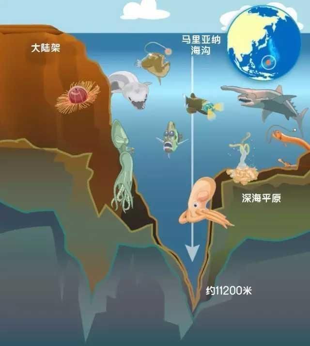 地幔 马里亚纳海沟深入地心了吗科学家发现了什么令人害怕的东西