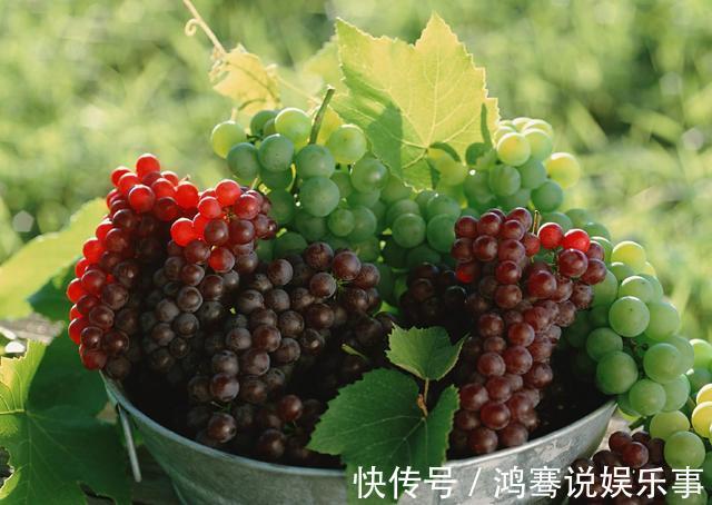 热性水果|四类水果要少吃,虽然很可口,但对孕妇并不好,易引发滑胎