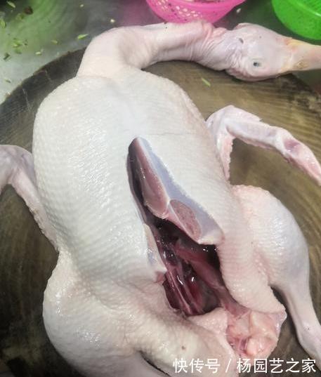 腥臭味|鸭子去腥别用姜,教你2招诀窍,鸭肉鲜香入味,好吃又无腥味