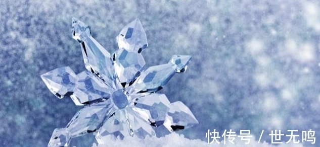 漆树|或许只有少数人知晓，无用但有趣的24个猎奇冷知识