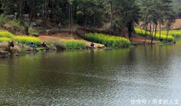 风口|立夏过后钓鱼,这些钓点成了必争之地,底下鱼儿扎堆,下竿就上鱼