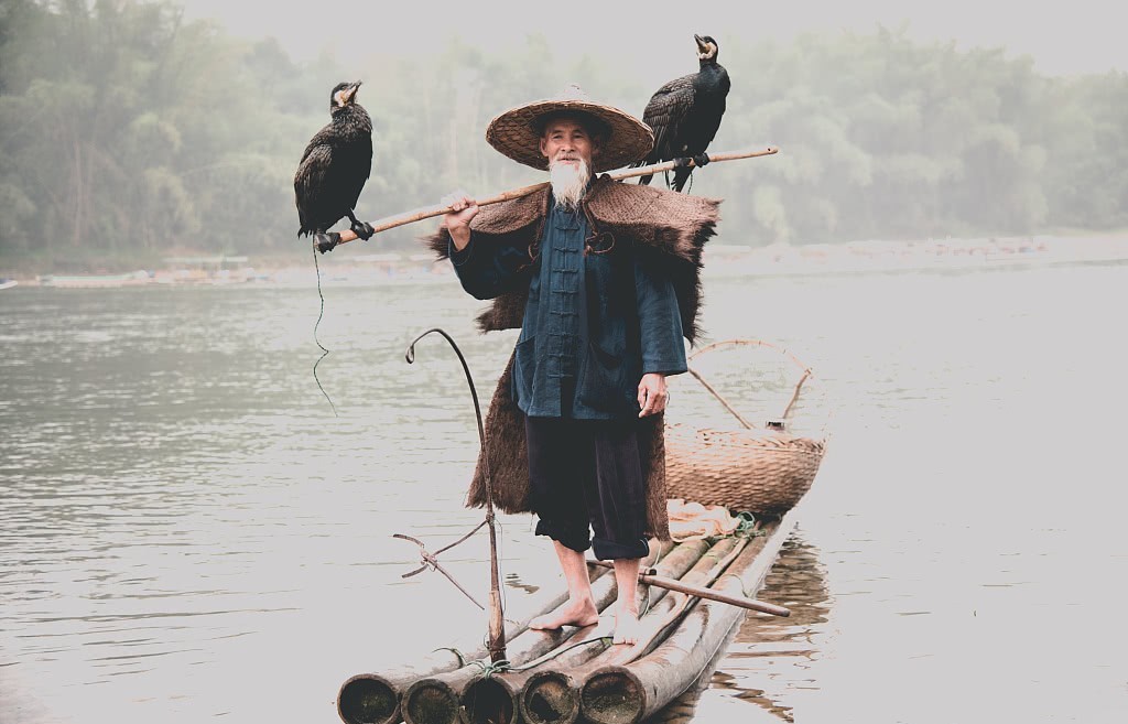 太子|靠着不自是,李诵做了26年太子,当了8个月皇帝